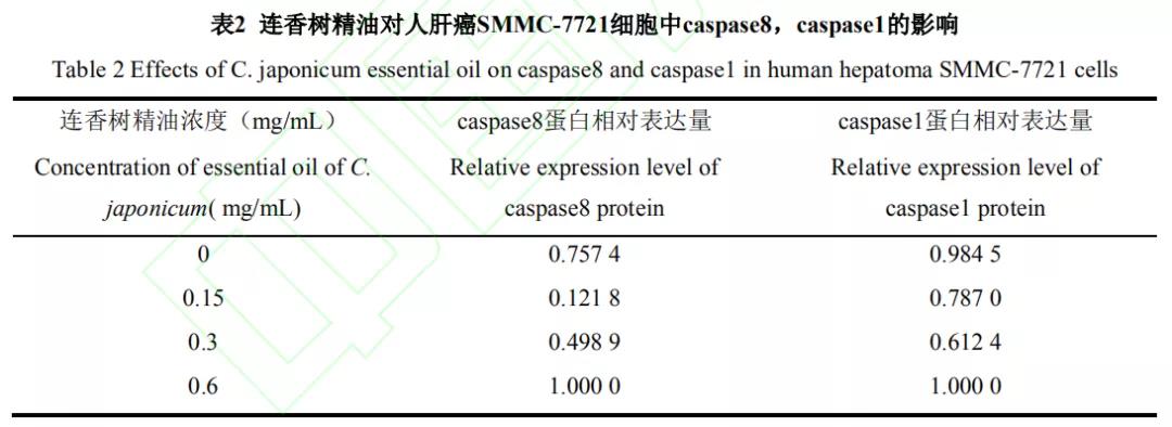 精油提炼设备